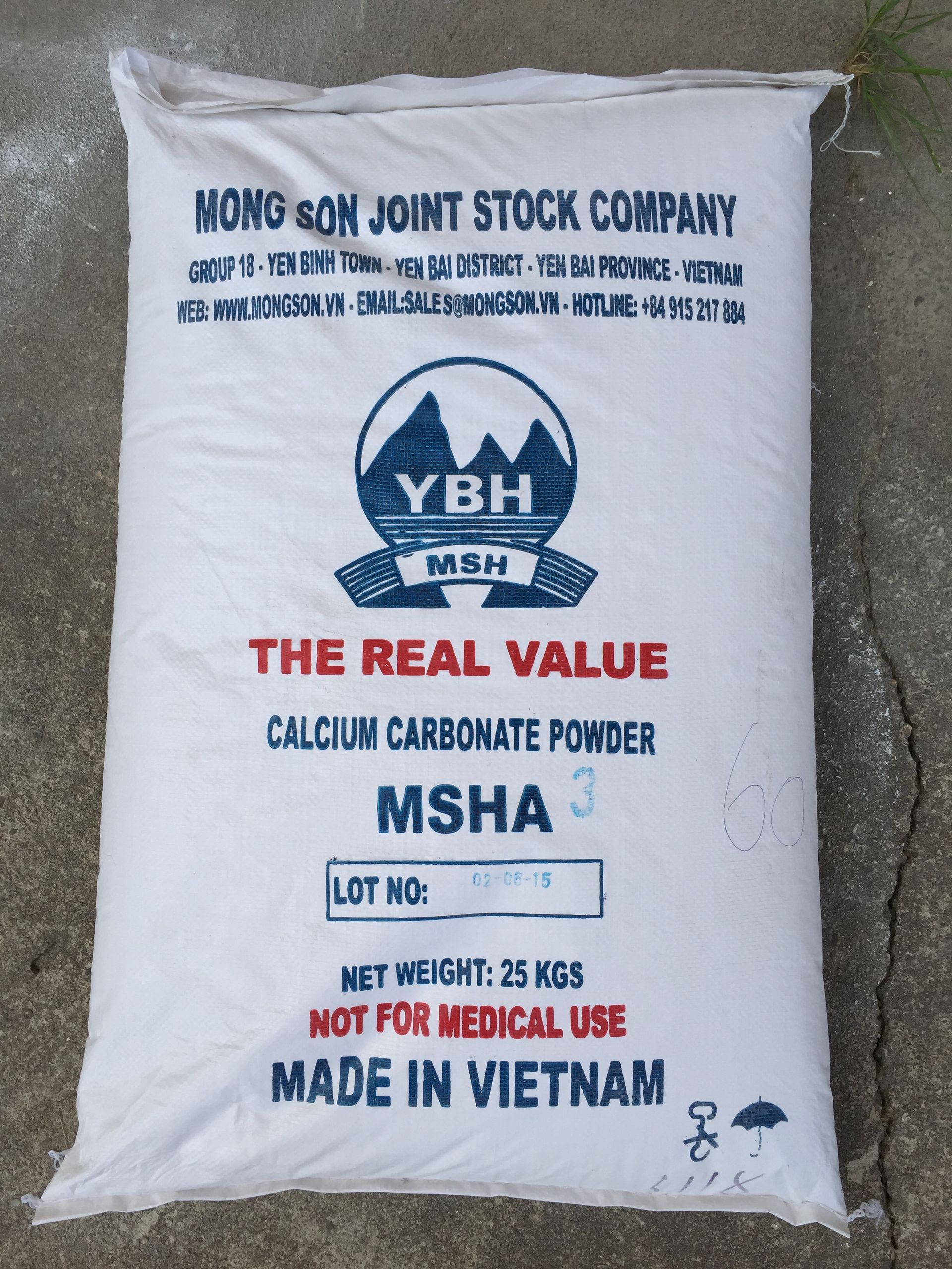 MSHA1+